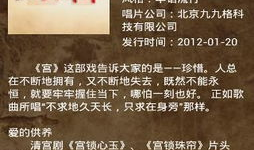 在线视频小说,揭秘在线视频小说的奇幻世界